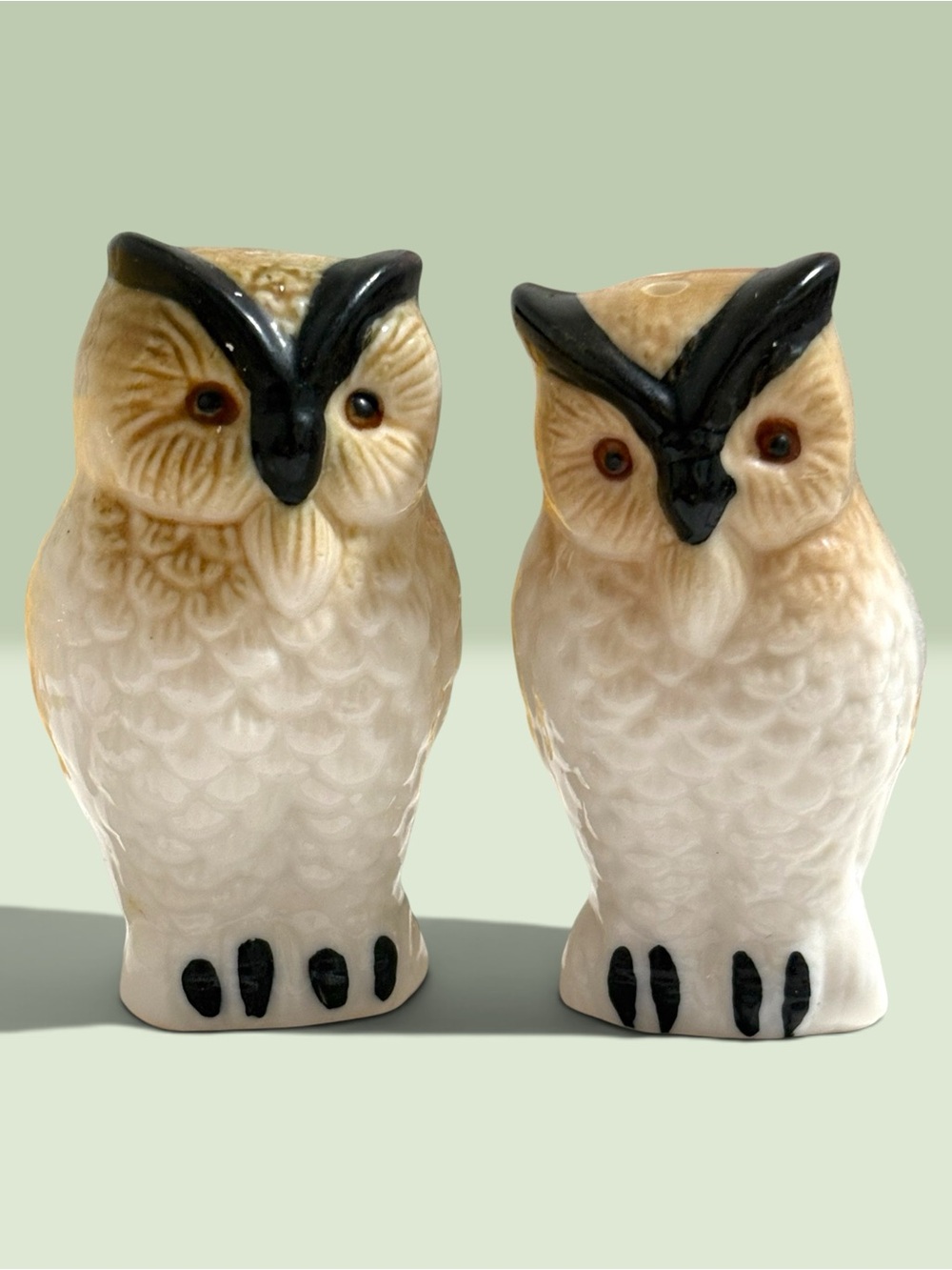 Vintage Set of Porcelain Ceramic Hand Painted Owl Salt & Pepper Shakers